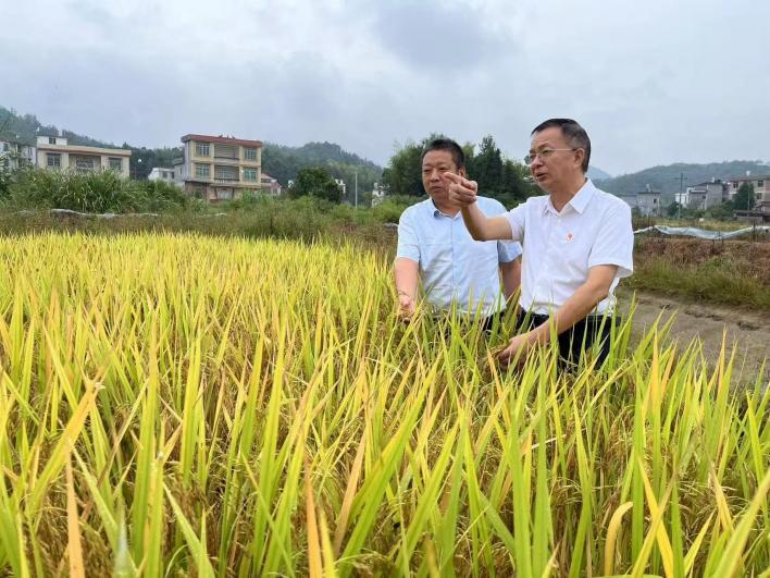 喜报！永利总站集团驻村工作队荣获年度考核“好”等次